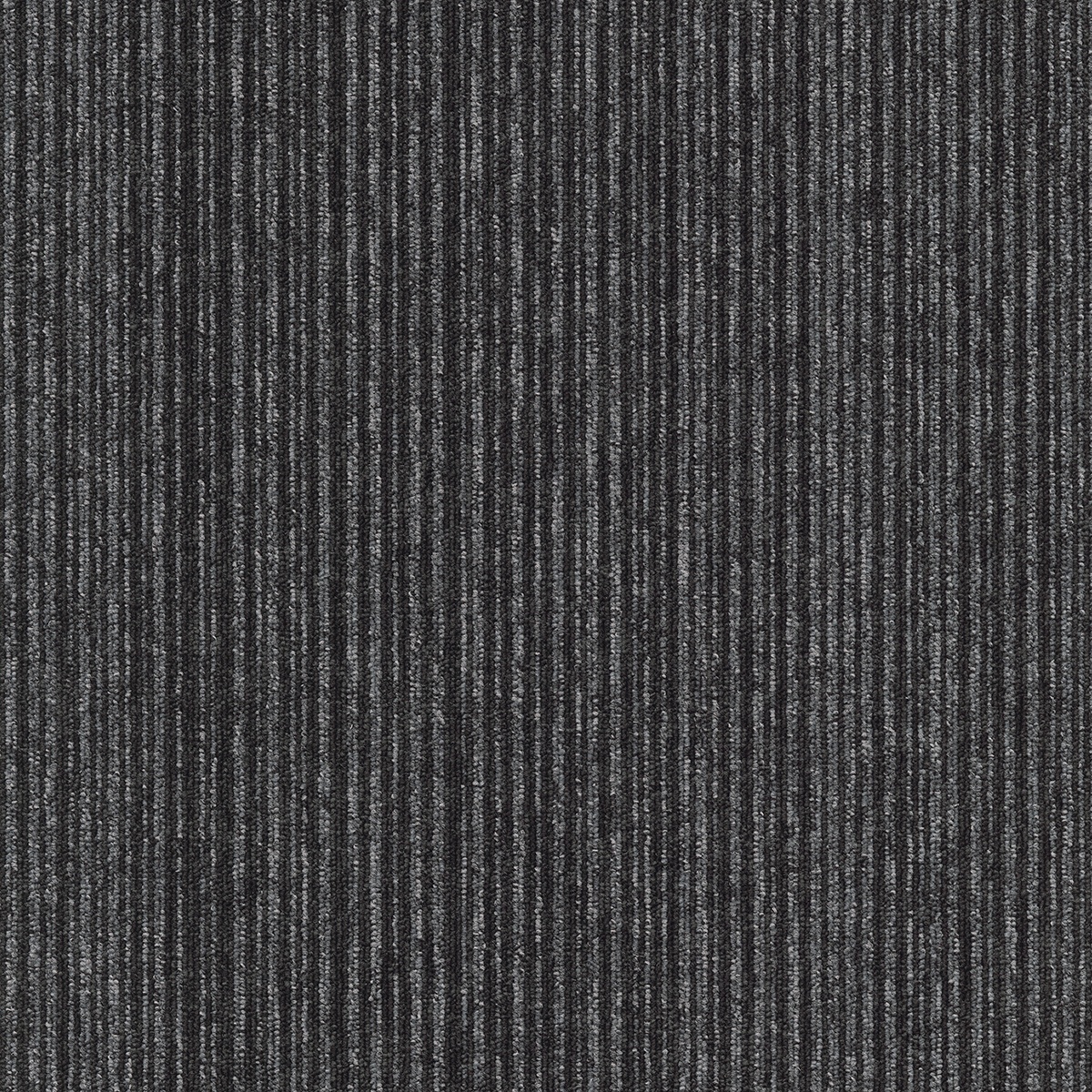 Mochetă rolă, Tapibel, Coral (Lines)