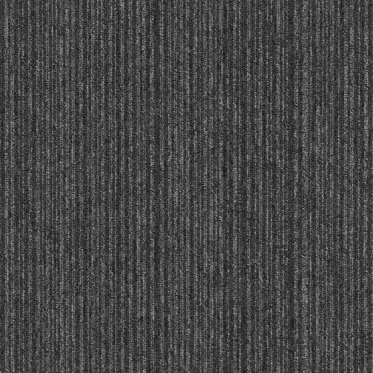 Mochetă rolă, Tapibel, Coral (Lines)