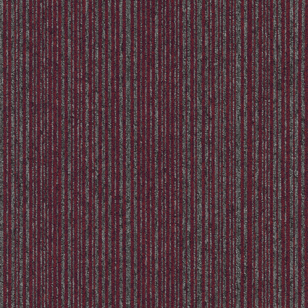 Mochetă rolă, Tapibel, Coral (Lines)