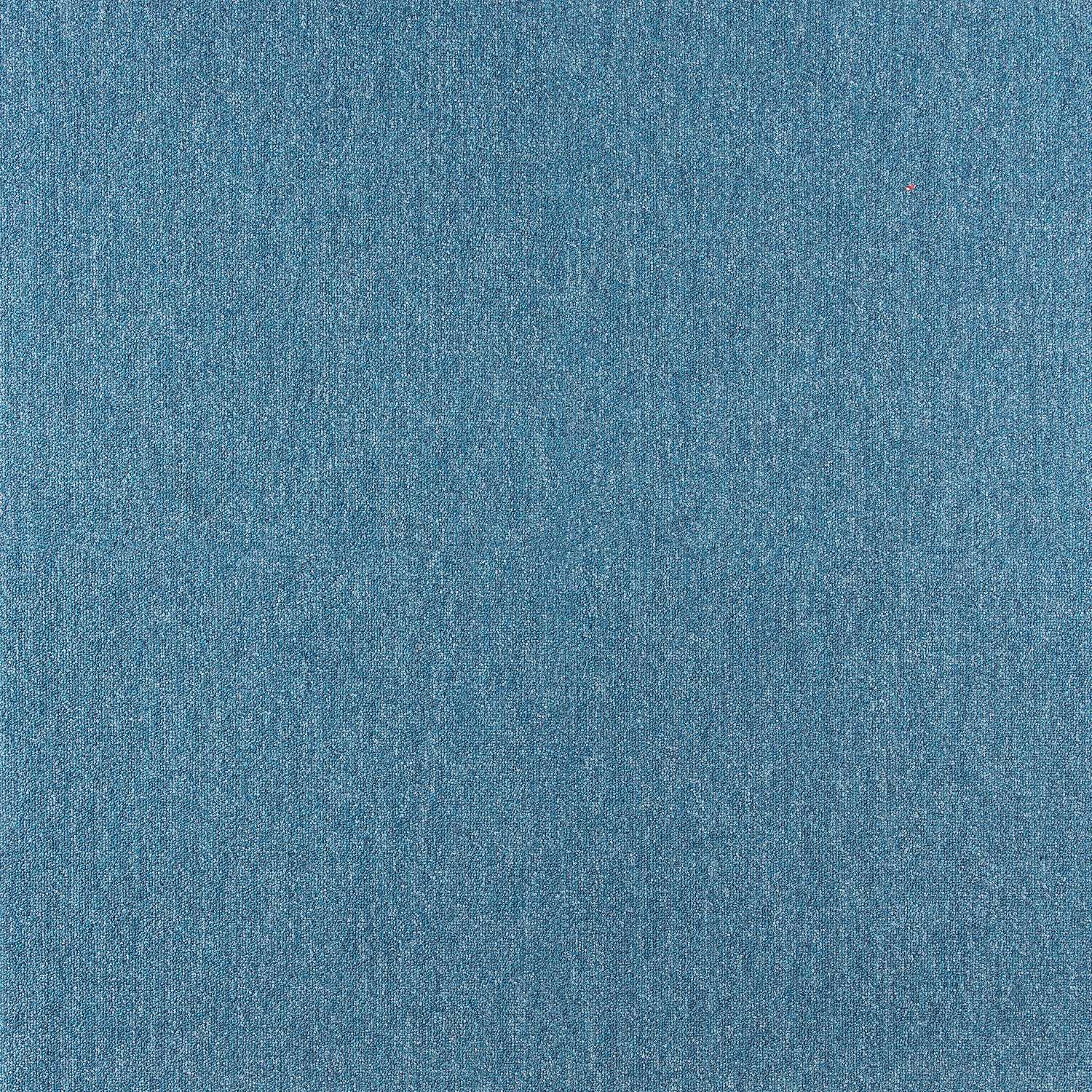 Mochetă dală, Tapibel, Cobalt SDN