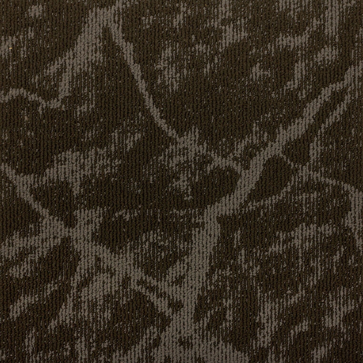 Mochetă dală, Tapibel, Earth