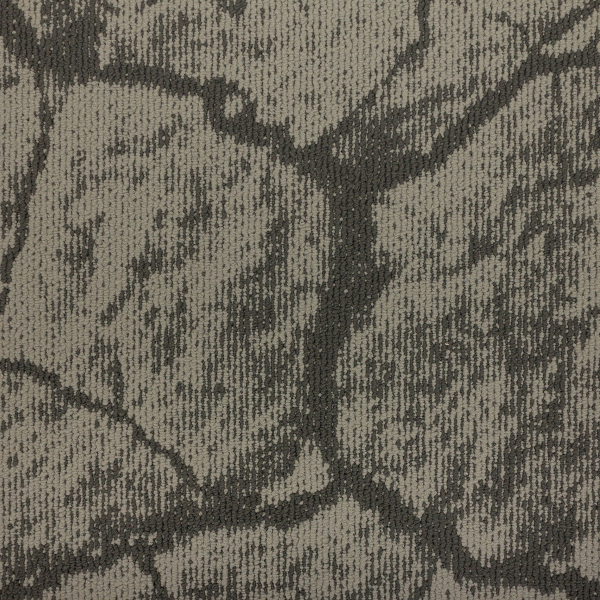 Mochetă dală, Tapibel, Earth
