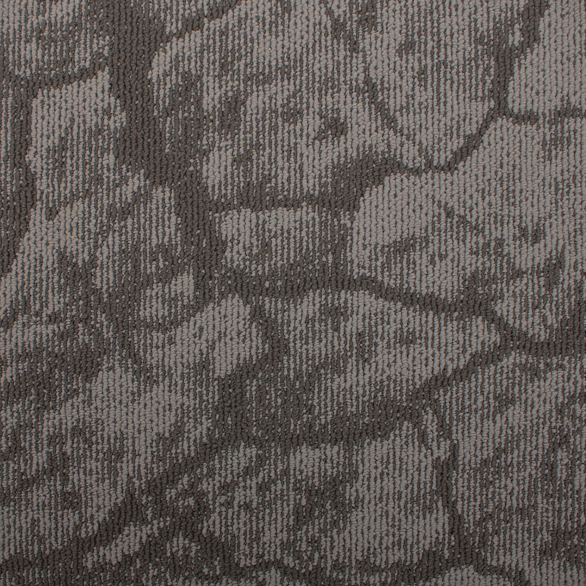 Mochetă dală, Tapibel, Earth