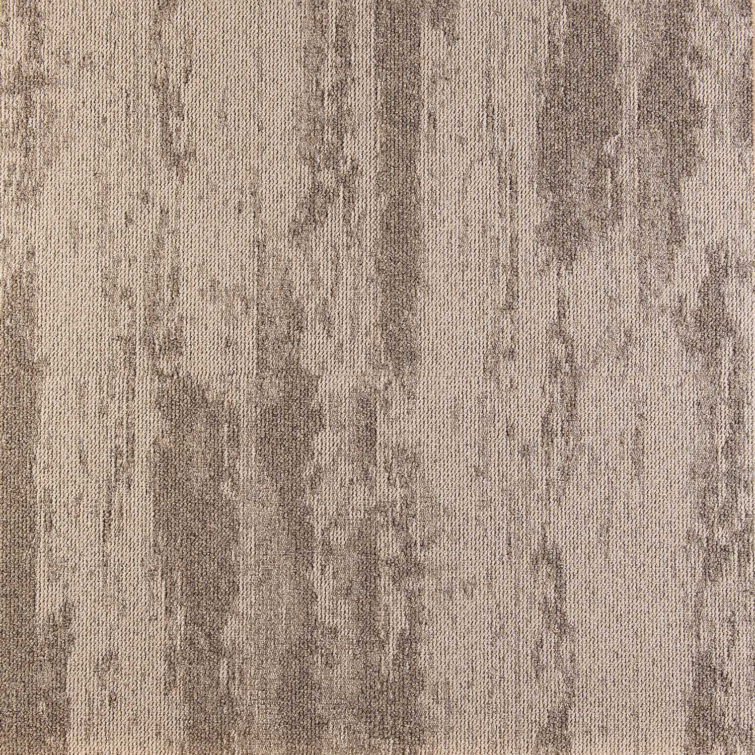 Mochetă dală, Tapibel, Expression