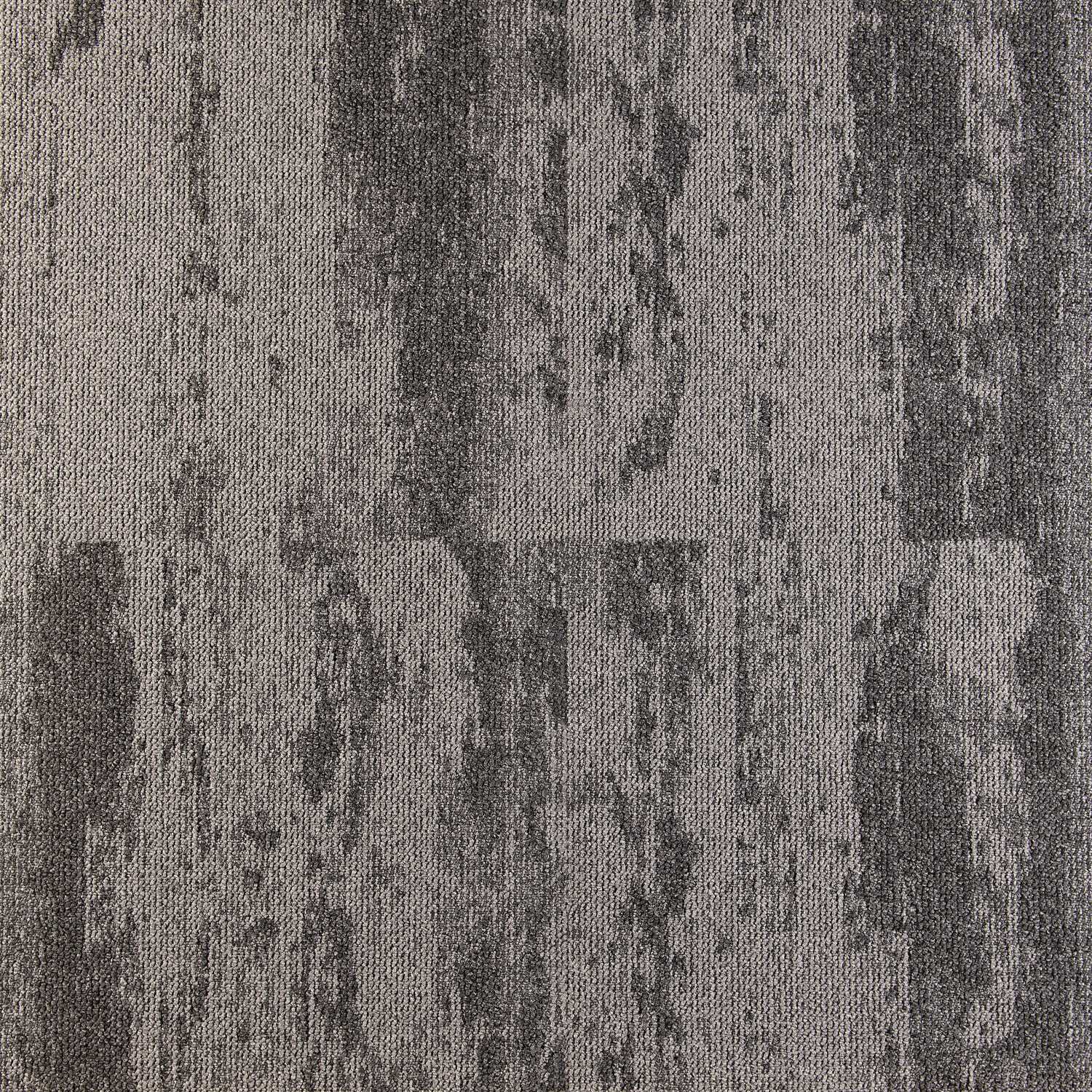 Mochetă dală, Tapibel, Expression