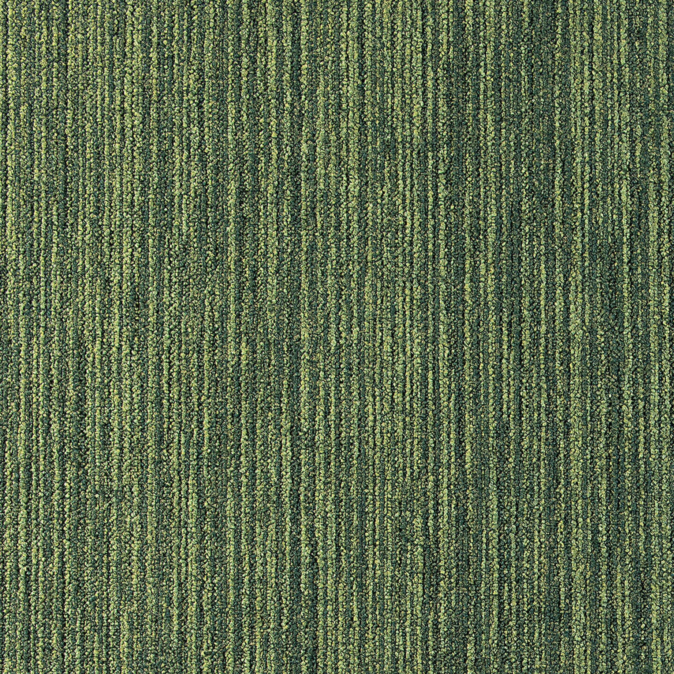 Mochetă dală, Tapibel, Relined